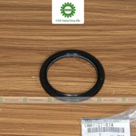 PHỚT LÁP TRỤC CẦU VI SAI