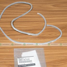 NẸP BẢO VỆ NẮP CỐP SAU