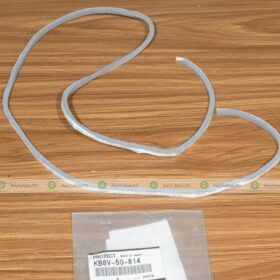 NẸP BẢO VỆ NẮP CỐP SAU