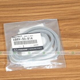 NẸP BẢO VỆ NẮP CỐP SAU